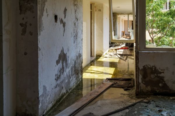 Cost of Water Removal Service in Canton