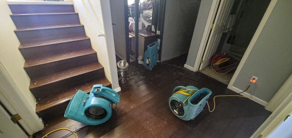 Cost of Water Damage Remediation in Canton